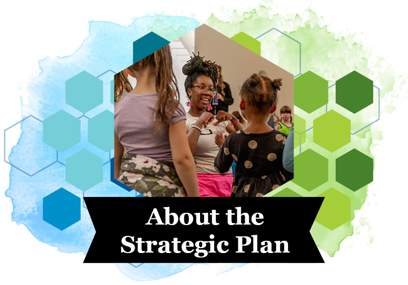 About the Strategic Plan