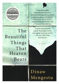 The Beautiful Things That Heaven Bears book cover