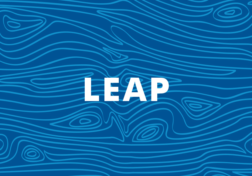 Leap Lab